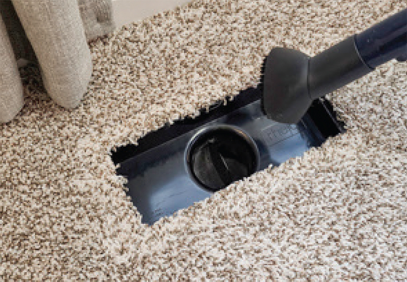 Rheia floor boot cleaning